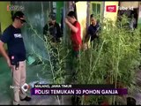 Polisi Temukan 30 Pohon Ganja Dalam Rumah di Malang - iNews Sore 22/04