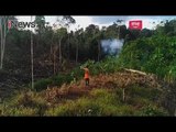 Pemkab Aceh Timur Dinilai Lamban Selesaikan Konflik Gajah Liar Vs Warga Seumanah - iNews Pagi 23/04