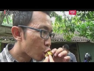 Tải video: Menikmati Madu Murni Langsung dari Sarangnya di Taman Tawon Madu, Kulon Progo - iNews Pagi 23/04