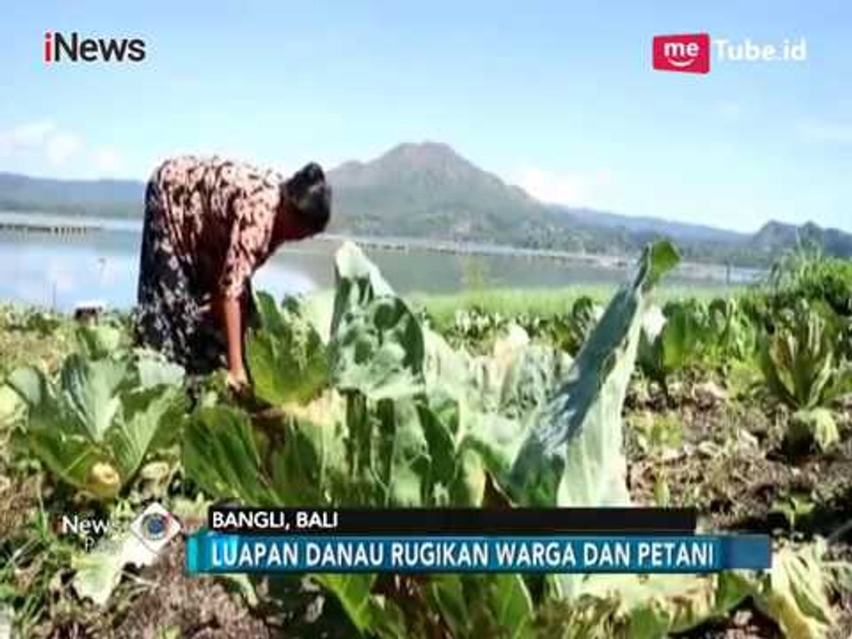 Dinas LH Bali Anggarkan Rp450 Miliyar, Normalisasi Danau Batur - iNews Pagi 30/04