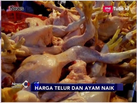 Harga Ayam Tembus Rp38 Ribu Perkilogram Jelang Ramadhan - iNews Malam 09/05