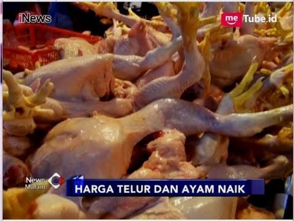 Harga Ayam Tembus Rp38 Ribu Perkilogram Jelang Ramadhan - iNews Malam 09/05