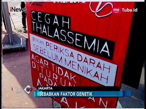 Kampanye Cegah Thalassemia, Mari Periksa Darah Sebelum Menikah - iNews Pagi 12/05