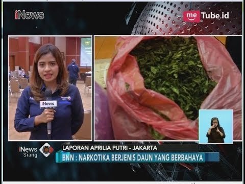 BNN Gagalkan Penyelundupan Paket 68 Kilogram Katinon dari Belgia & Ethiopia - iNews Siang 28/05