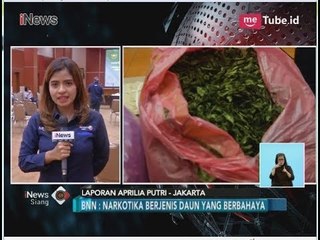 BNN Gagalkan Penyelundupan Paket 68 Kilogram Katinon dari Belgia & Ethiopia - iNews Siang 28/05