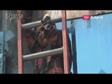 Kebakaran Rumah Produksi, Evakuasi 3 Korban yang Terjebak Berlangsung Dramatis - iNews Malam 30/05