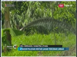 Sawah Warga Deli Serdang Rusak Tercemar Limbah Pabrik Kelapa Sawit - iNews Pagi 04/06
