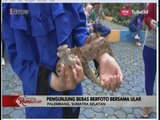 Warga Ngabuburit Bersama Ular di Kambang Iwak Besar Palembang - iNews Pagi 06/06