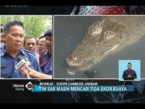 Titik Persembunyian Telah Diketahui, Namun Tim SAR Masih Kesulitan Tangkap Buaya - iNews Siang 28/06