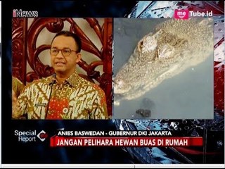 Descargar video: Anies Baswedan Curiga Buaya di Kali Grogol Peliharaan Warga - Special Report 28/06