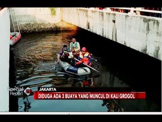 Petugas Terus Cari 3 Buaya di Kali Grogol - Special Report 28/06