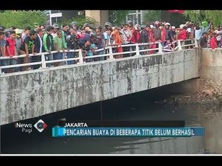 Pencarian 3 Buaya di Kali Grogol Belum juga Membuahkan Hasil - iNews Pagi 29/06
