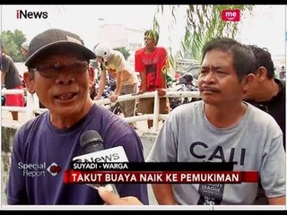 Cerita Warga Heboh Lihat Penangkapan Buaya di Kali Grogol - Special Report 29/06