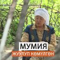 Тарых музейинен чыгарылып, Баткенге көмүлгөн мумиянын акыркы элеси түшүрүлгөн бир да фото, видео материал жок. Мындан улам балким көргөндүр деп, Баткенге чейин