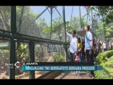 Libur Akhir Pekan, Jokowi Asyik Temani Cucu Kunjungi Taman Burung TMII - iNews Pagi 09/07