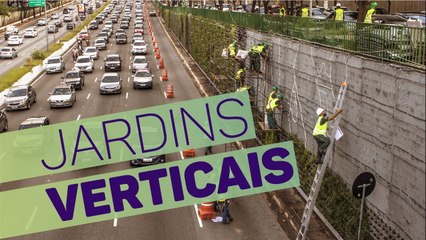 Conheça a polêmica dos jardins verticais da Avenida 23 de Maio