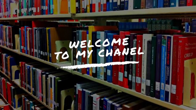 The Back Alley Small Business Tax Guide: A Tax Overview of Sole Proprietorships and Single Member