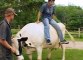 Kenny vs  Spenny S01xxE23 Who can sit on a cow the longest