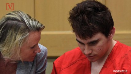 Parkland Shooter's Mom Reportedly Allowed Him to Buy Guns, Although Experts Advised Against It