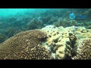 Program selam skuba SIT 2012