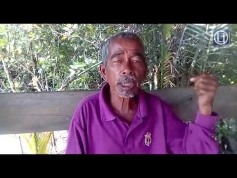 Paramotor terjunam ke laut