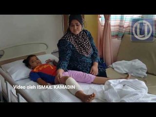 Kanak-kanak cedera digigit beruk