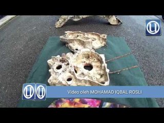 Geng Chemumar curi motosikal tumpas