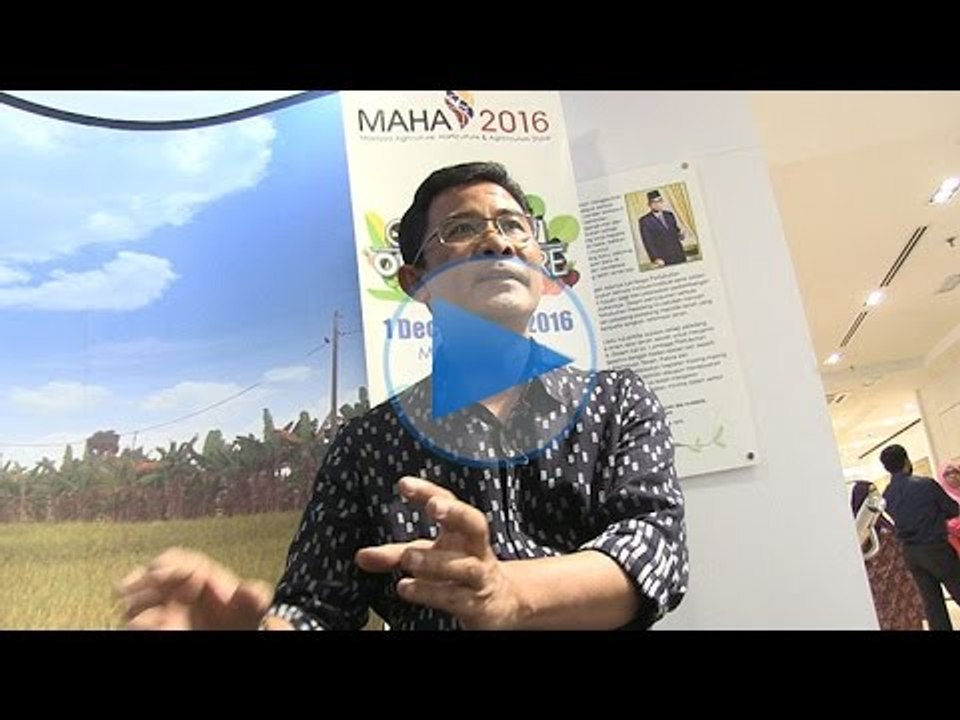 Usahawan tani pendapatan negara