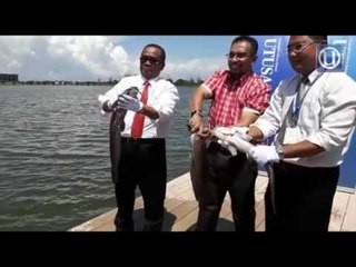 Ekspokonvo UMP: Lebih satu metrik tan ikan dilepaskan