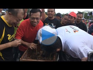 Standard madu kelulut keluar Jun 2017, dieksport