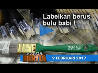 Kapsul Berita 9 Februari 2017