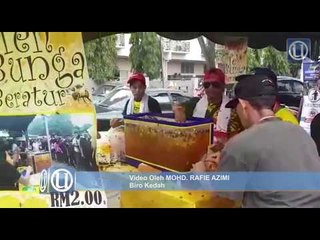 'Lebah ini datang sendiri'