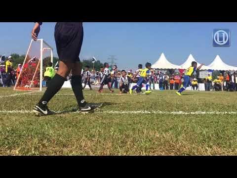 Hari Potensi Tabika Kemas Di Utem meriah