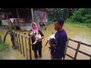 Kambing diletak di ruang tamu