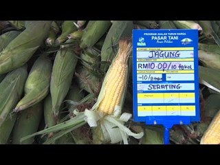 Road To MAHA 2018 Kertih  Mari singgah di Kluster Segar