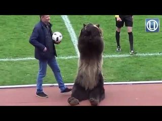 Arah beruang serah bola, jadi 'capo' dibidas