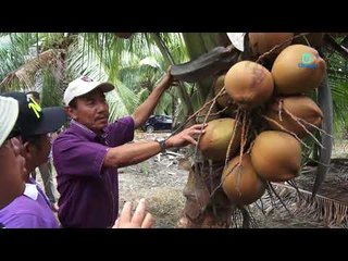 Dulu makan gaji, kini usahawan kelapa