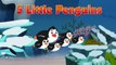 Five Little Penguins | Penguins Dance Song | Nursery Rhymes | Baby Rhyme