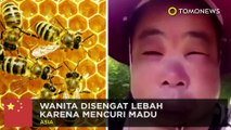 Wanita mencoba mendapatkan madu, malah disengat lebah - TomoNews