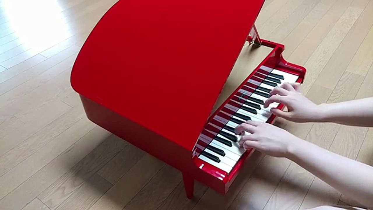 Schoenhut 25 Key Piano