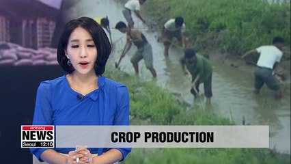 North Korea's 2017/18 crop production expected to be 5% lower than previous year: UN