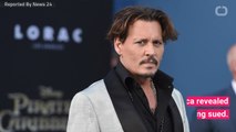 Johnny Depp Sued For Allegedly Punching Crew Member
