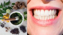 Ayurvedic Herbs for Teeth: इन 3 जड़ी-बूटियों से कभी खराब नहीं होंगे आपके दांत | Boldsky