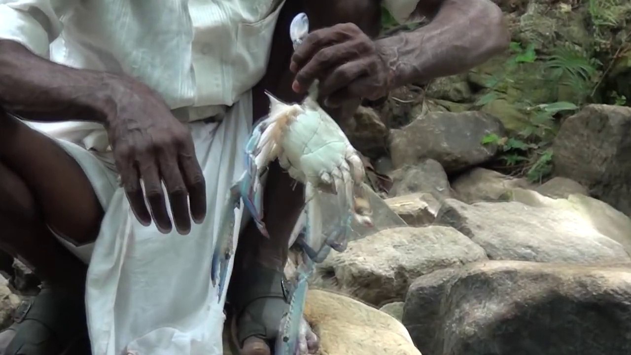Fresh Crab curry - caught and cooked
