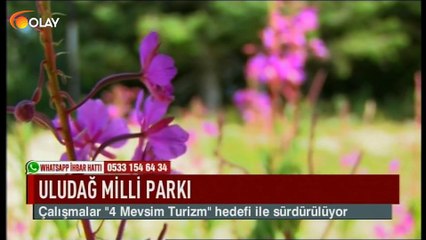 Uludağ Milli Parkı