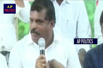 శ్రీరెడ్డి పై దిమ్మతిరిగే పంచ్ YCP Leader Botsa Satyanarayana On Punch Sri Reddy-AP Politics