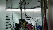 Footage shows tourist boat struggling in violent storm before it capsized off Thailand