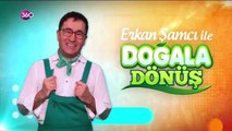 Doğala Dönüş