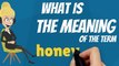 What is HONEYMOON? What does HONEYMOON mean? HONEYMOON meaning, definition & explanation