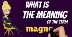 What is MAGNETISM? What does MAGNETISM mean? MAGNETISM meaning, definition & explanation